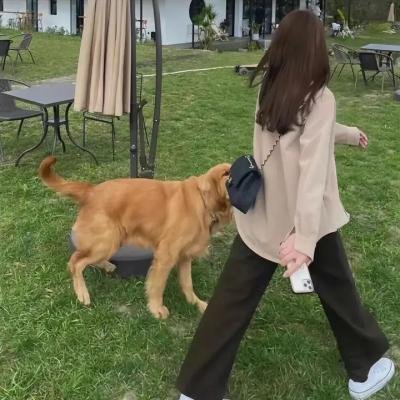 她心底的世界