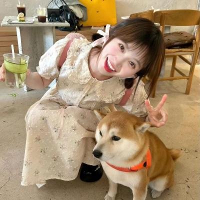 黑社会风云